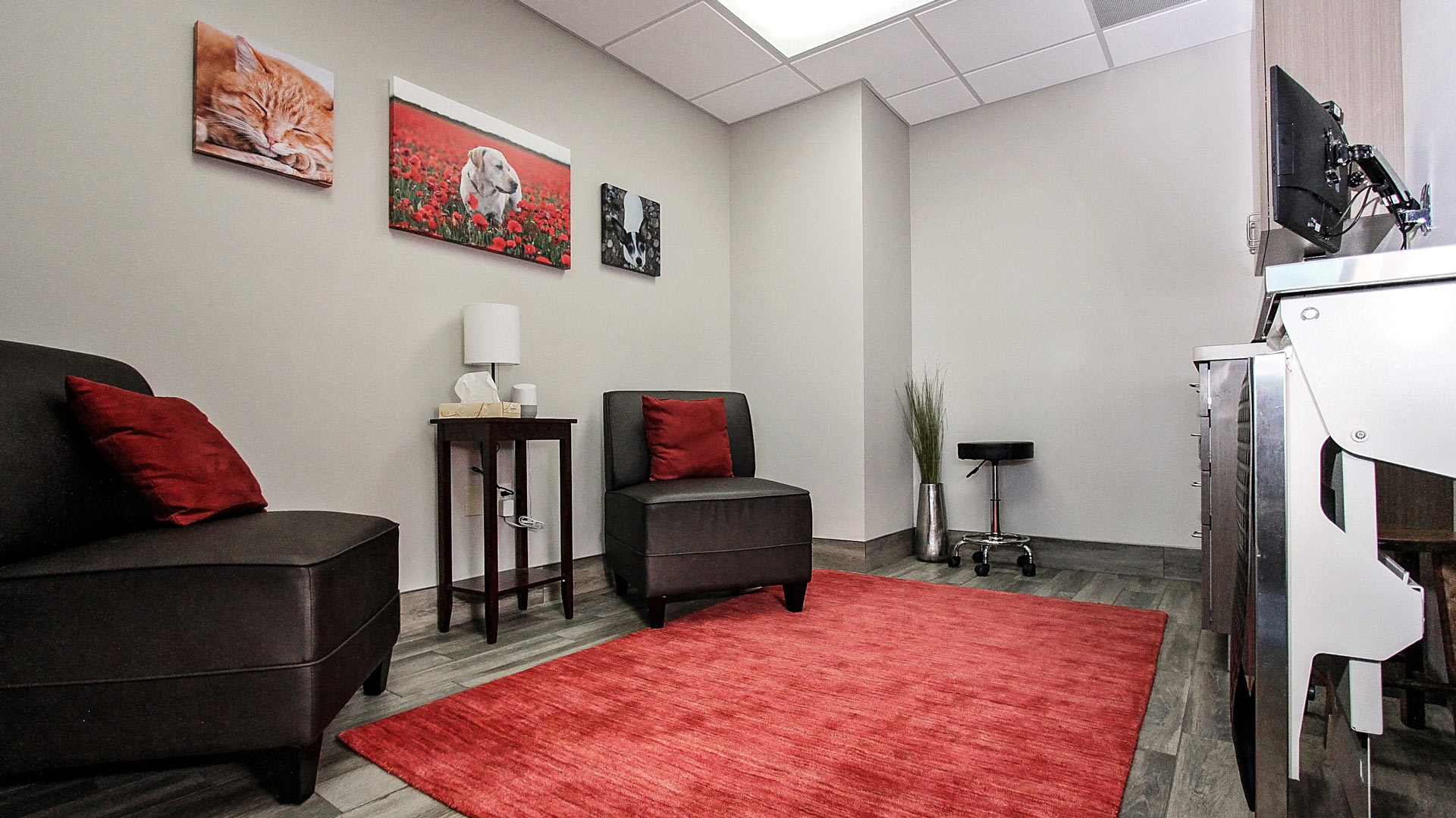 Lodi Veterinary Care