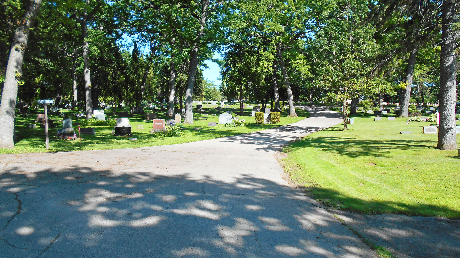 Forest Hill Cemetery