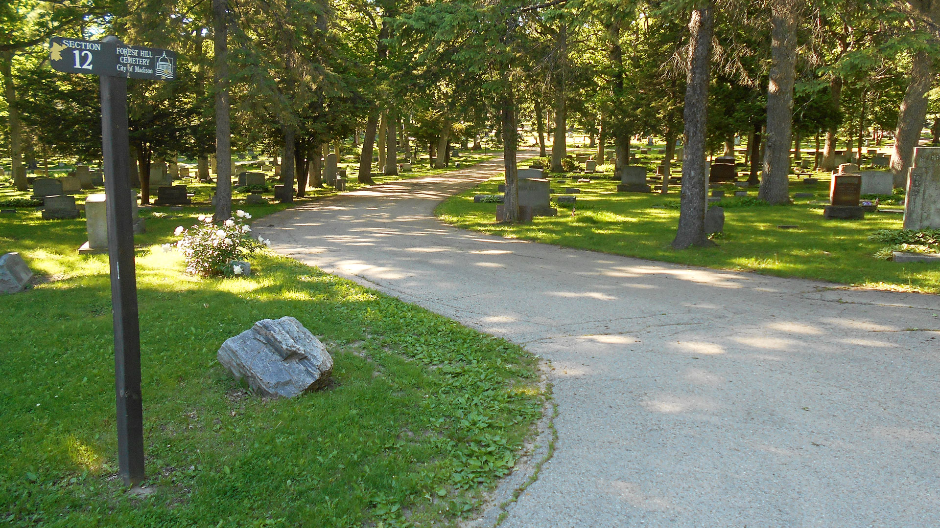 Forest Hill Cemetery