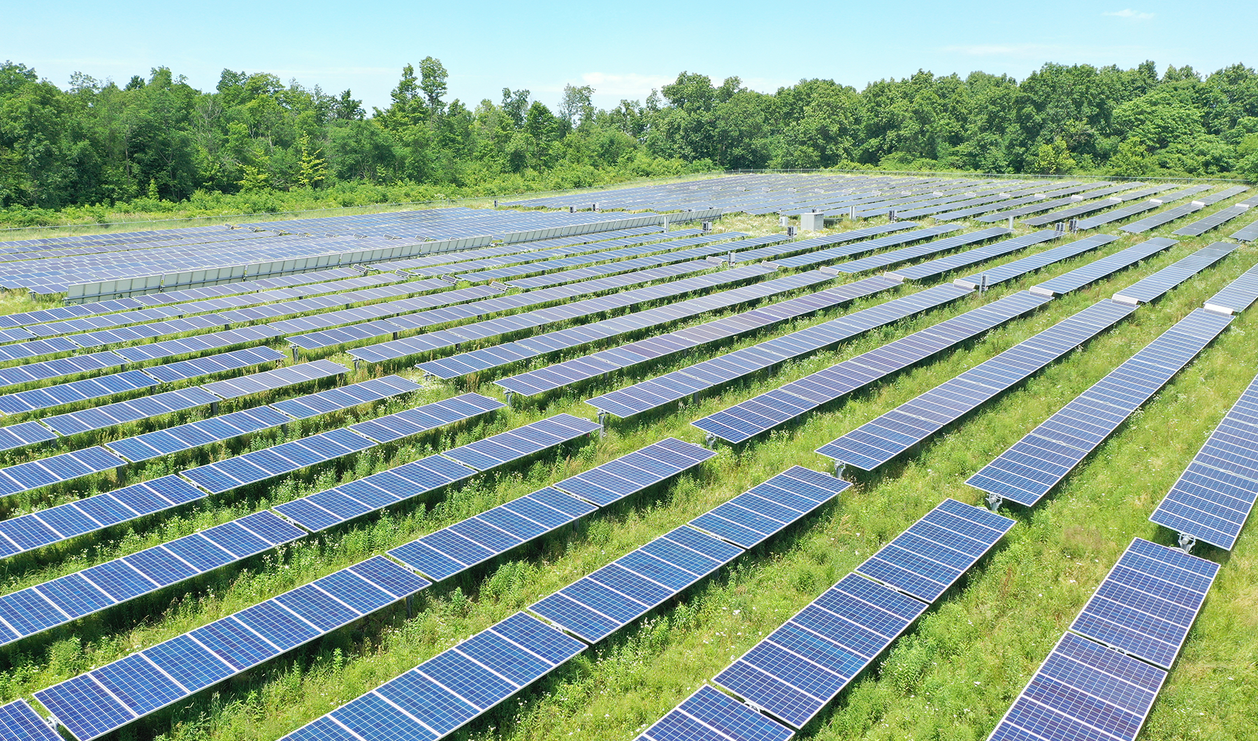 Rows of solar panels in a field