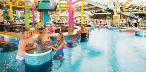 Swim-up bar at the Wilderness Resort.